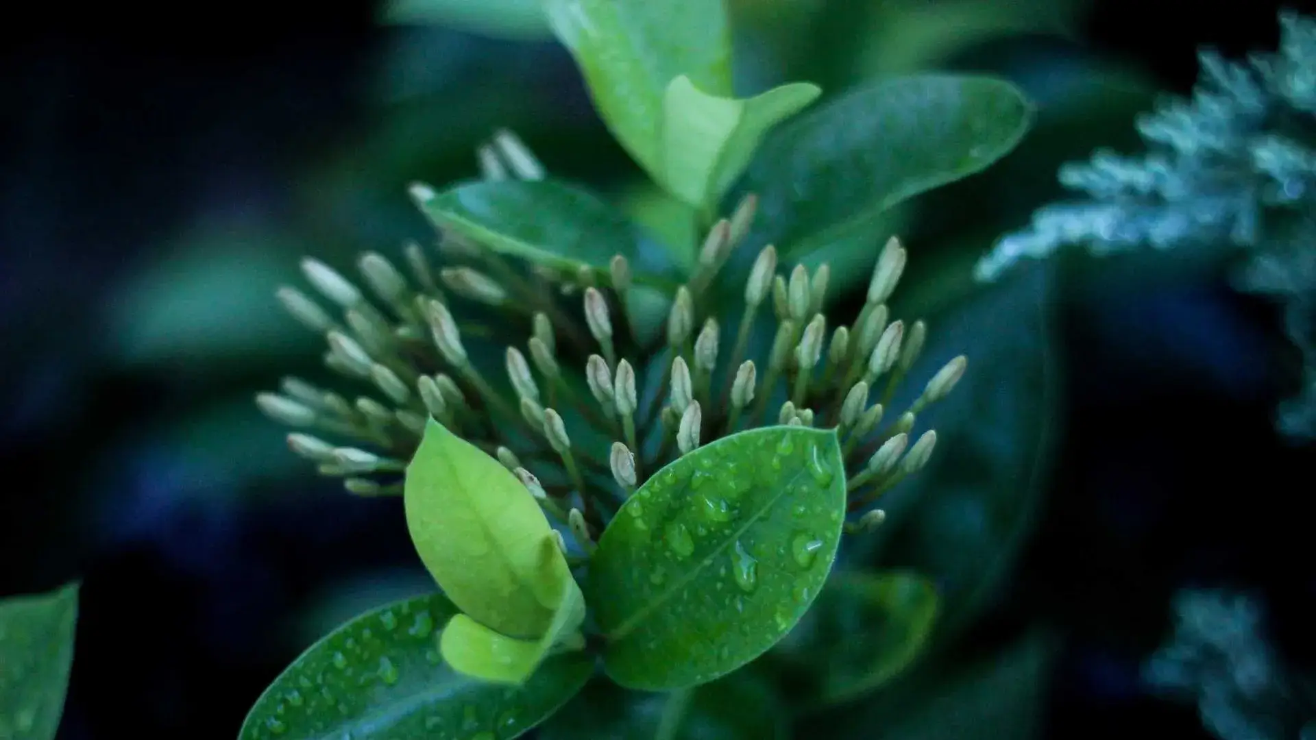 Healthy living background